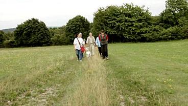 Wandergruppe mit Rainer Brämer auf dem neuen Spessartbogen