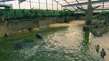 Bild: WDR Hippodom