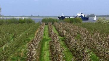 Bild: NDR Das Alte Land