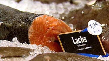 Lachs an der Fischtheke