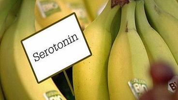 Bananen mit Schildchen Serotonin