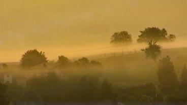 Bild: SWR Morgennebel