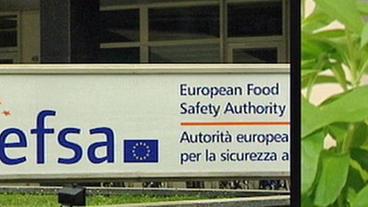 Das Logo der efsa