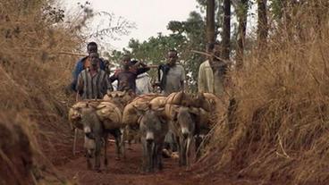 Kleinbauern ziehen mit Eseln ins Dorf