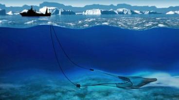 Grafik Schleppnetz unter Wasser