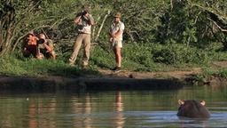 Mitarbeiter des Kölner Zoos fotografieren ein Flusspferd in Afrika (WDR)
