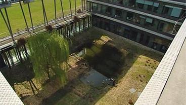 Teich im Innenhof des Gebäudes