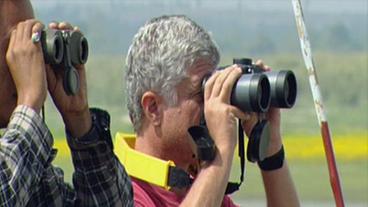 Bild: WDR Delfin-Forscher