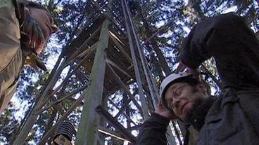 Bild: HR Forschung im Wald