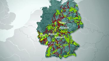 Deutschlandkarte, auf der zwischen den Wäldern, die für Wildkatzen geeignet sind (grün), ein Wegenetz eingezeichnet ist (rot): das Wegenetz für die Wildkatze