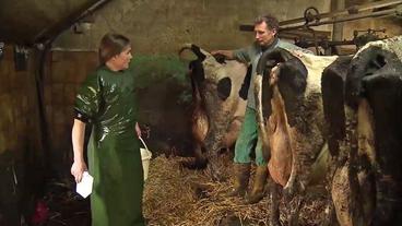 Bild: NDR Anke Heikens im Stall