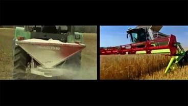 Bild: SWR Traktor beim Düngen und ein Mähdrescher