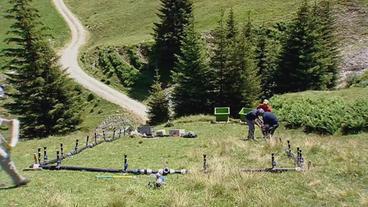 Versuchsaufbau der Forscher