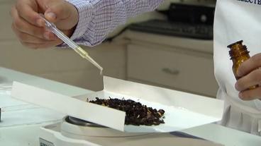 Bild: NDR Ein Mitarbeiter tröpfelt flüssiges Aroma auf eine Teemischung