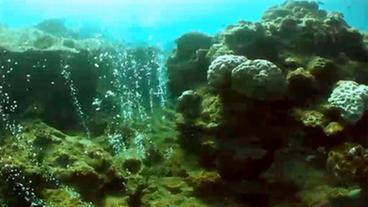 Korallenriff, in dem Gasblasen aus dem Boden aufsteigen