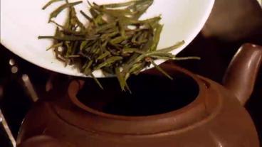 Grüne Teeblätter werden in Teekanne gestreut