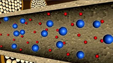 Schematische Dastellung des Inneren einer Cellulosefaser