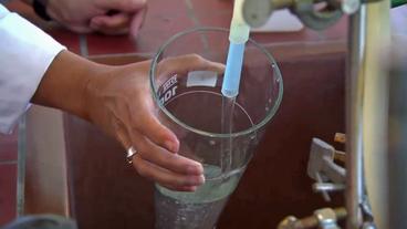 Bild: SWR Rheinwasser läuft in ein Untersuchungsgefäß