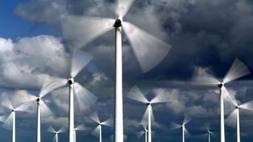 Bild: dpa Viele Windräder