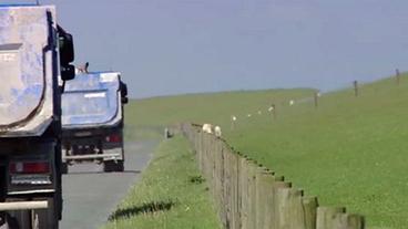 Bild: WDR Lastwagen fahren am Deich entlang