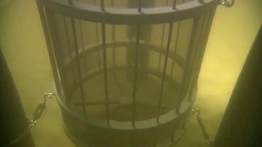 Ein zylinerförmiger Käfig im Versuchsaufbau