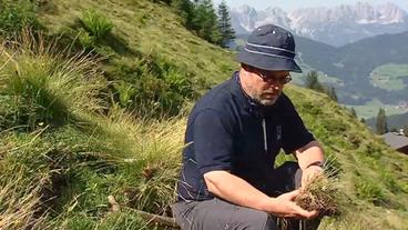 Gerhard Markart hat ein Büschel Bürstling in der Hand