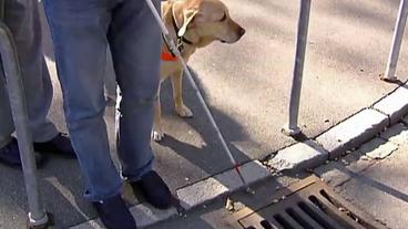 Bild: SWR Ein Blindenhund steht neben einen Mann