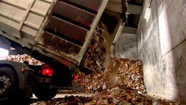 Bild: WDR Ein Lkw kippt Brote und Brötchen aus