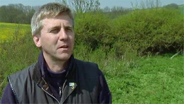 Bild: BR Thomas Mölich, Rettungsnetz Wildkatze, Bund für Umwelt und Naturschutz, Thüringen