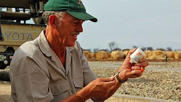 Wildtierarzt Johan Kriek lädt einen Pfeil mit Betäubungsmittel