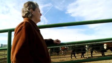 Temple Grandin