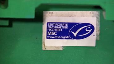 Bild: WDR MSC-Siegel nah