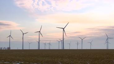 Windräder auf einer Wiese