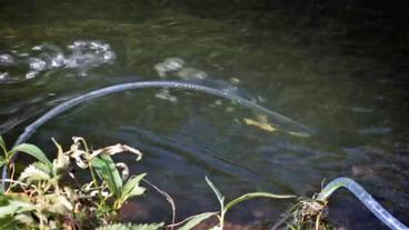 Messgerät hängt an einem Schlauch im Wasser