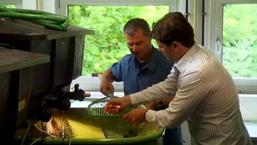 Professor Werner Kloas und Nicolas Leschke vor Fischzuchttank im Leibniz-Institut