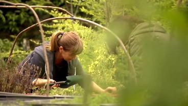 Zwei Personen bei der Gartenarbeit