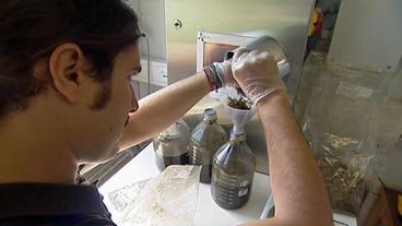 Bild: BR Eine Mini-Biogasanlage im Labor wird mit Pflanzenproben befüllt.
