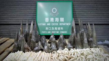 Vom Zoll Hongkong konfiszierte Nashornhörner und Elfenbein.