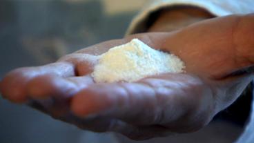 Bild: NDR Plastikkügelchen auf der Hand eines Wissenschaftlers