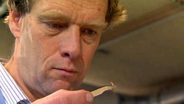 Bild: BR Prof. Marcel Dicke