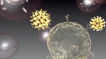 Bild: Interaktion/BR Grippevirus