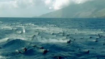 Bild: WDR/Neudreh Schwarze, dampfende Steine schwimmen auf dem Meer