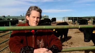 Temple Grandin