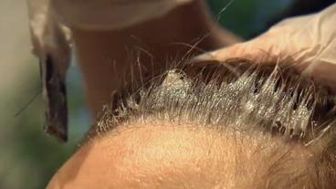 Ein Haaransatz wird mit Färbemittel eingepinselt