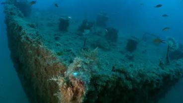 Bild: WDR Mit Algen überwachsener Bug eines Wracks unter Wasser