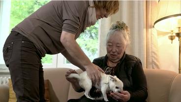 Bild: NDR Seniorin mit einem Hund auf dem Schoß