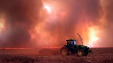 Bild: SWR Trecker vor brennendem Feld