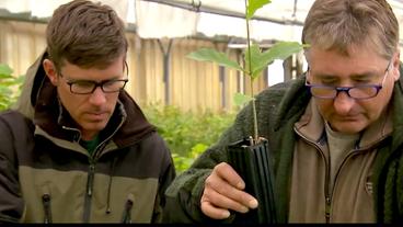 Bild: hr Ludger Sproll und Ulrich Stobbe