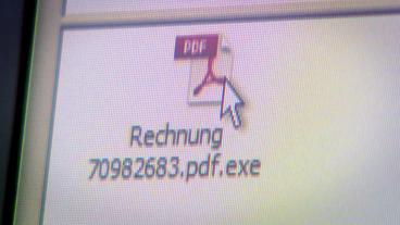 PDF auf einem Rechner