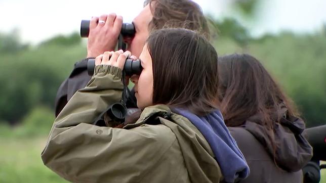 Bild: hr Vogelbeobachten